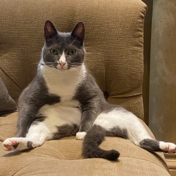 Meet your Posher, Jessica - Picture 3 of 3